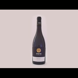 Pinot Noir charta.Luxembourg 2020 Machtum Ongkaf AOP Caves Schlink
